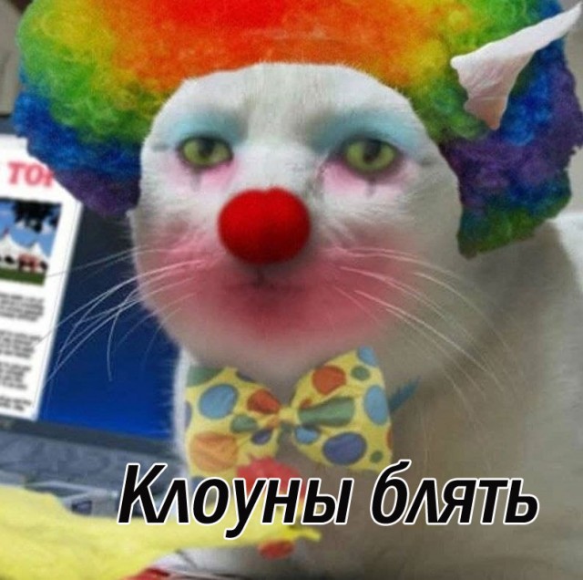 В турецком отеле Royal Seginus, в котором одновременно проживают футболисты российских и украинских команд, произошла массовая драка.