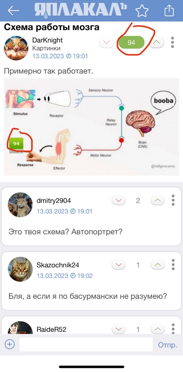Схема работы мозга