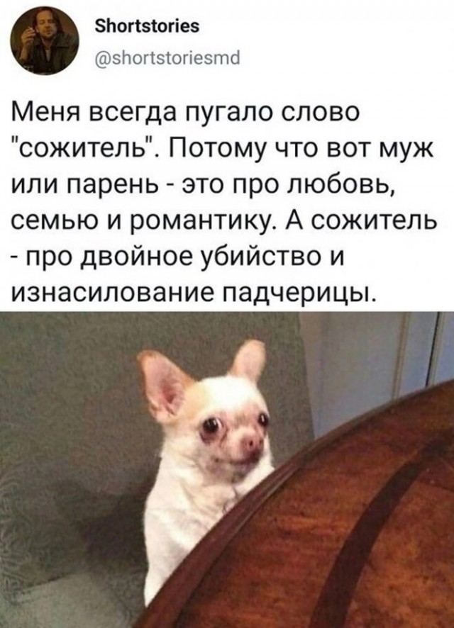 Картинки и мемы, всяко - 169