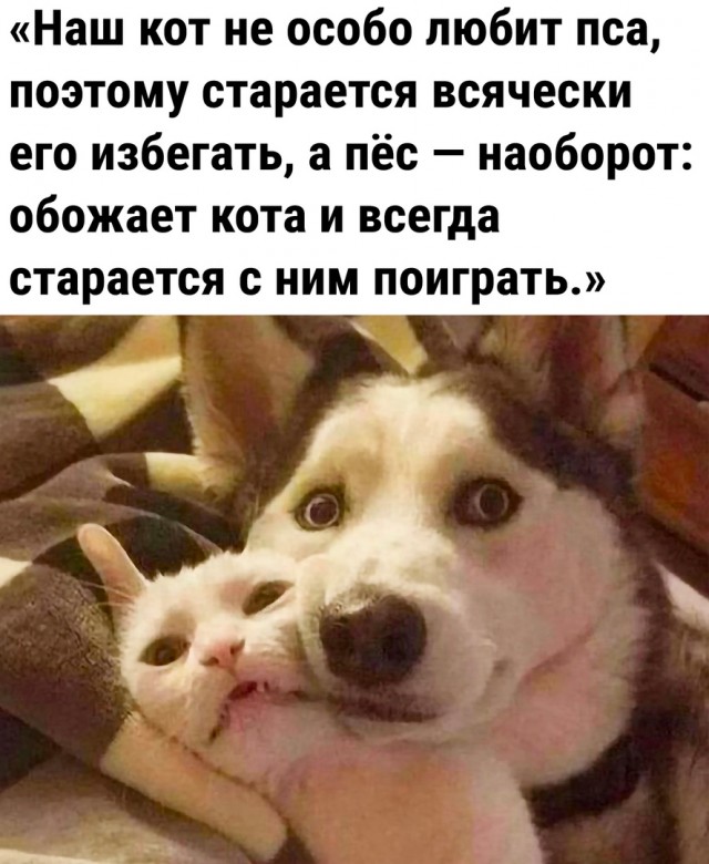 Так себе картинки 24.04.23