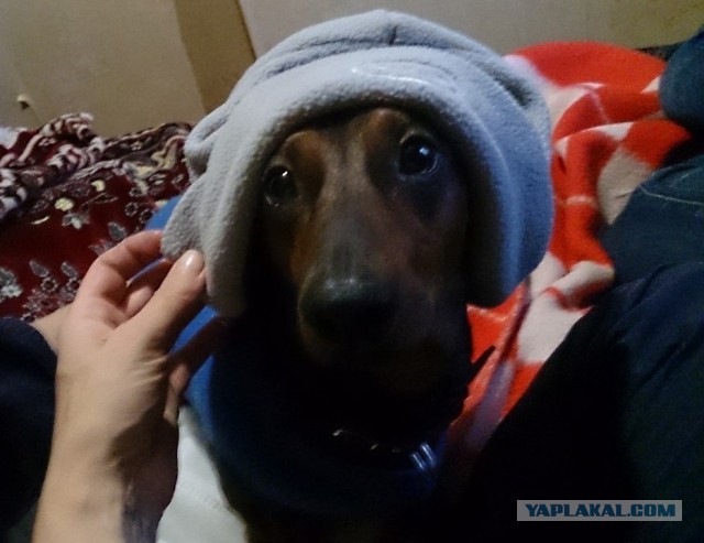 Всё-таки четверг