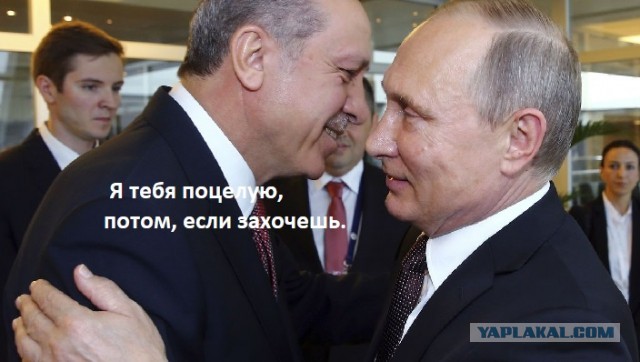 Эрдоган заявил, что Украина заслуживает быть членом НАТО