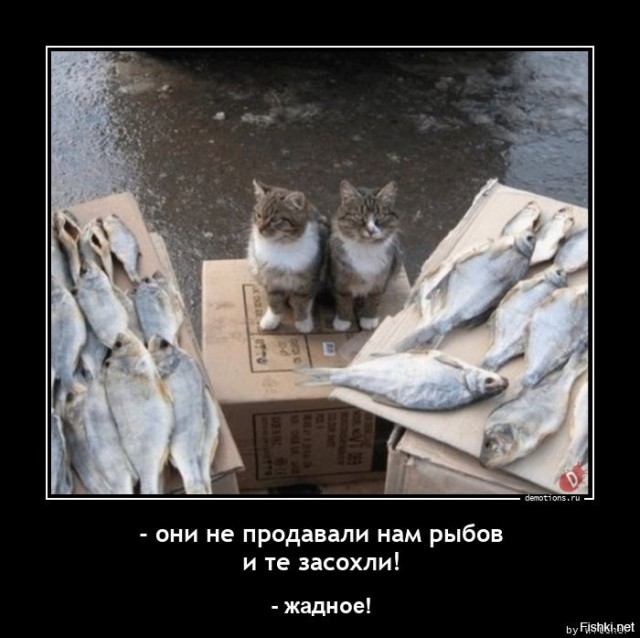 Не украл, а угостился