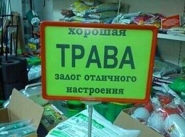 Прикольные и просто красивые картинки 13.10.2023