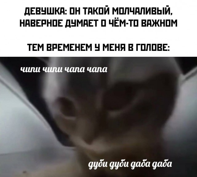 Пошло-тупые картинки для деградации