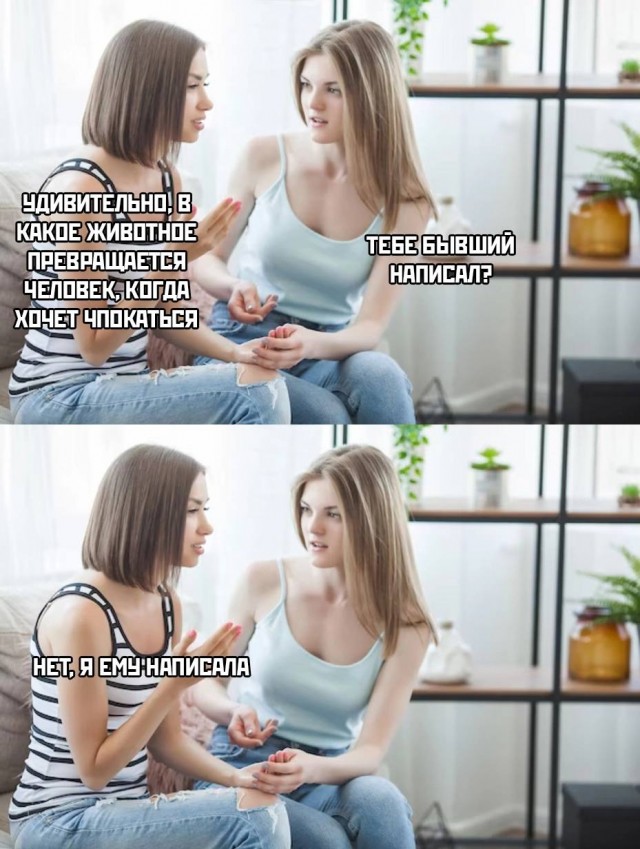Мемчики и картинки для настроения и подумать
