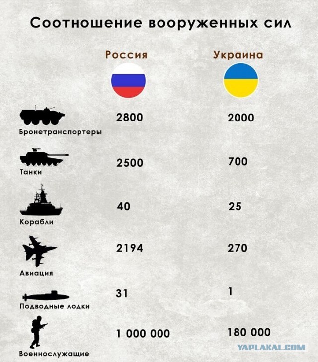 В ТикТоке британцы высмеивают планы своего генштаба по войне с Россией