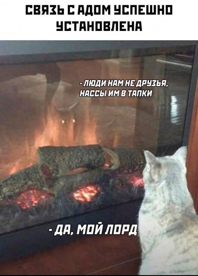 Так себе картинки 01.04.24