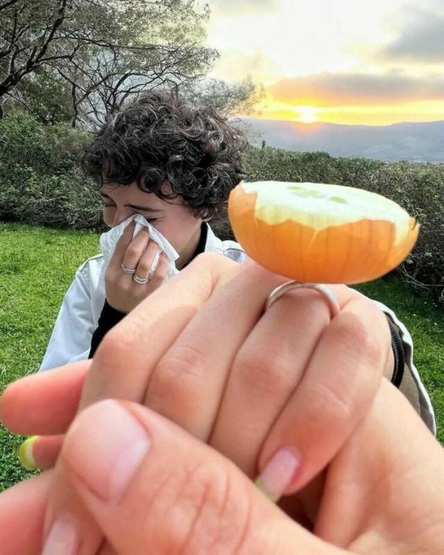 ФотоВинегрет