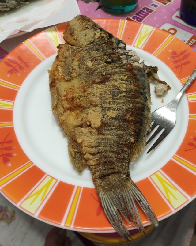 Караси.