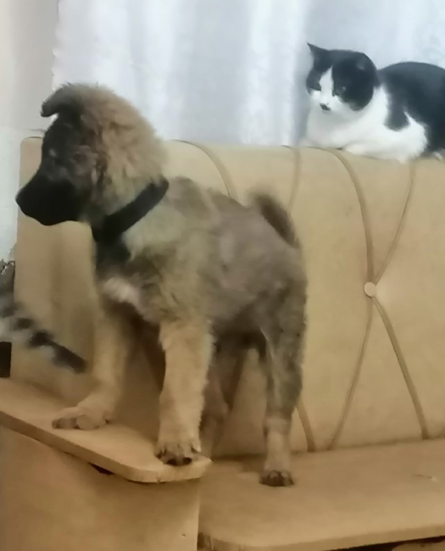 Вот скажите