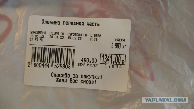 Как я оленя покупал