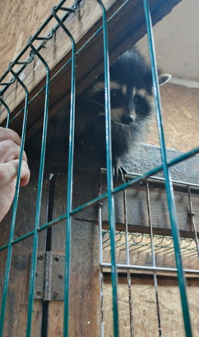 Как мы с семьёй не просрали воскресенье