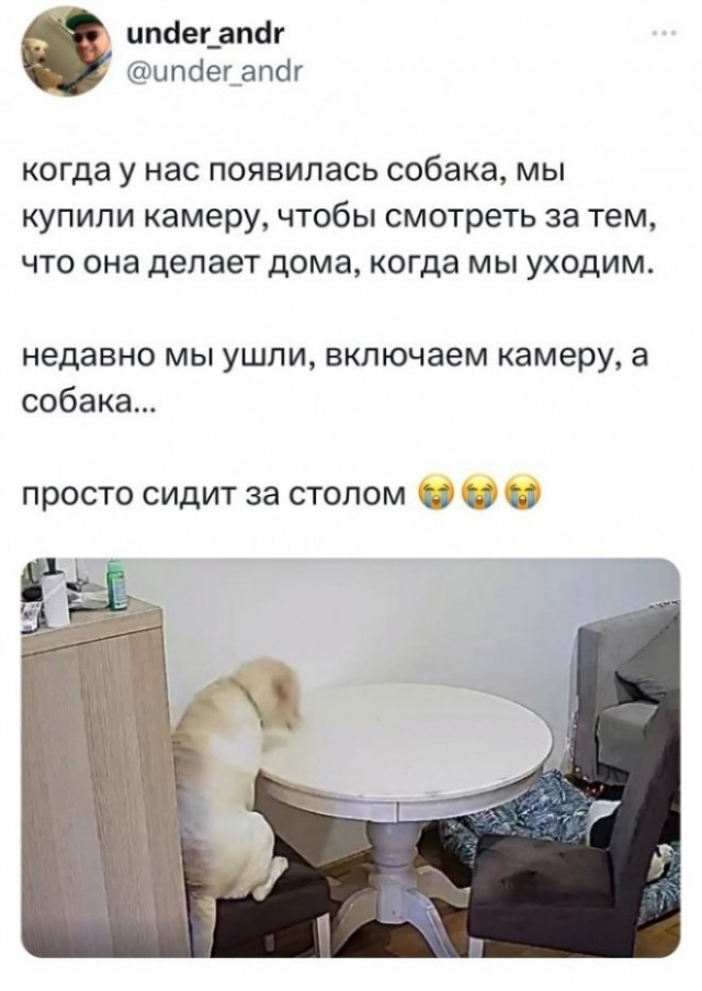 Веселые картинки в маленькую пятницу (28.05)