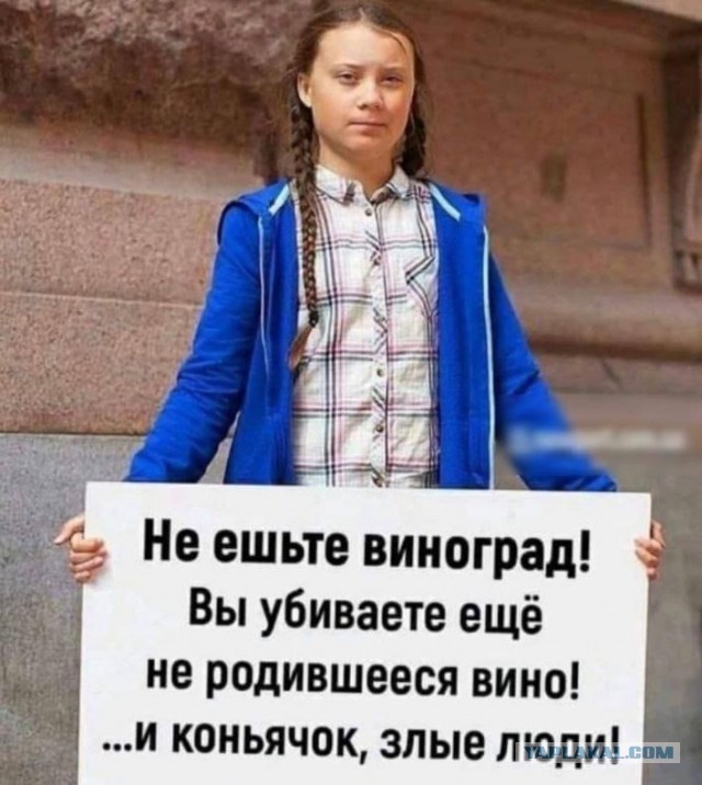 Палестинцев спасти не получилось. Грета побежала спасать педерастов