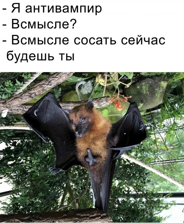 Веселые картинки в понедельник (25.08)