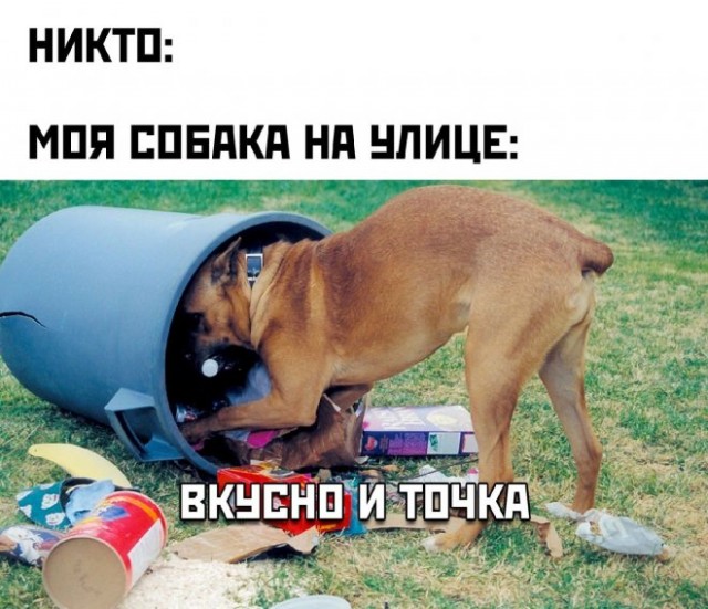 Веселые картинки в маленькую пятницу (24.09)