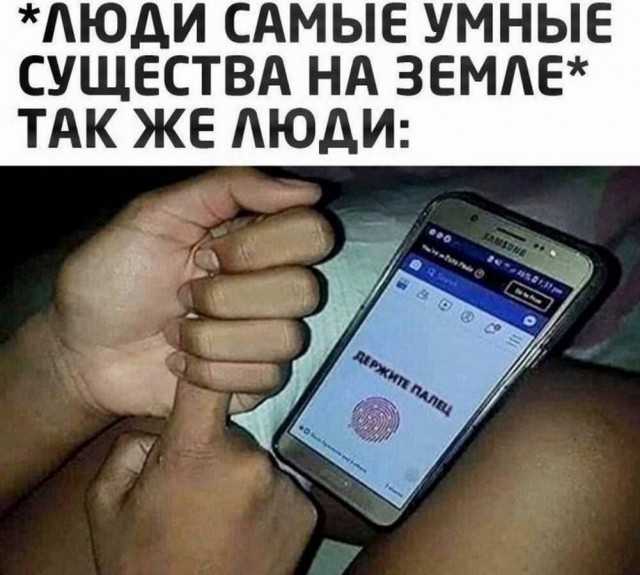 Картинки для деградации 59 (разной степени свежести)