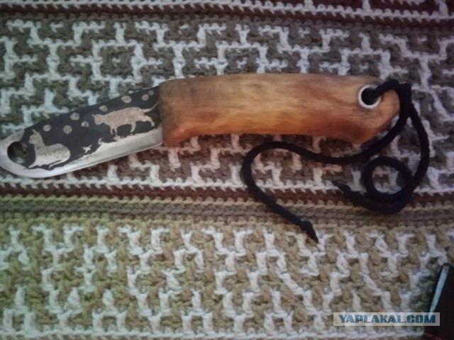 Кошачий нож