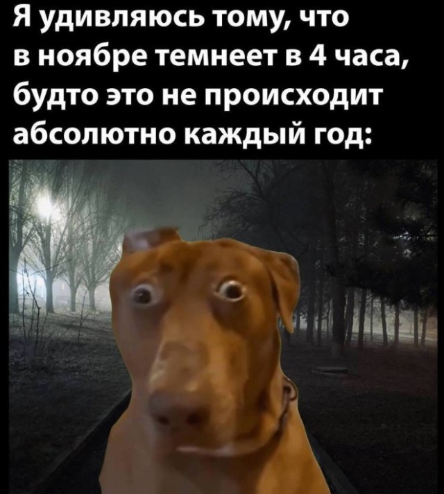 Веселые картинки в понедельник (24.11)