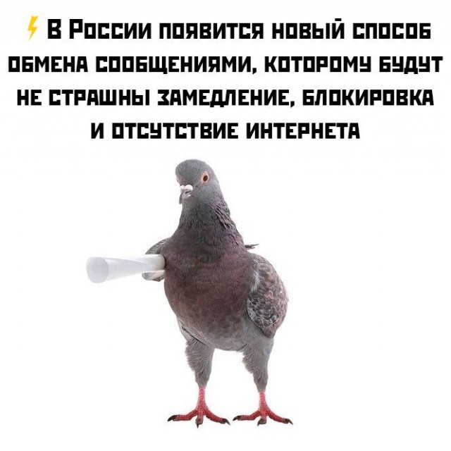 Так себе картинки 25.01.26