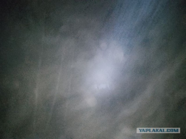 Жизнь домашнего приюта для котеек 572