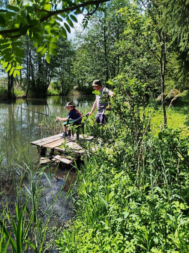 Дегустатор безумия. Конкурс стихотворений