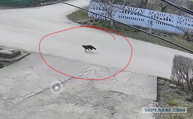 Беспилотник?