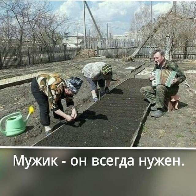 Воскресные картинки