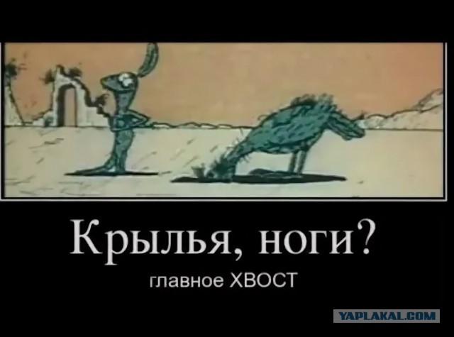 Годовалому мальчику удалили хвост в Челябинске