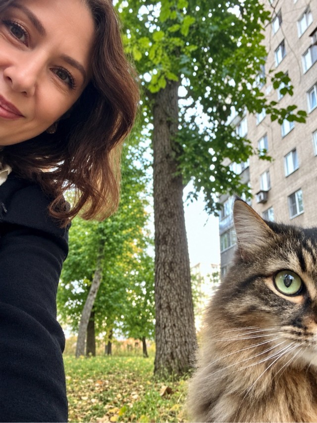 Очередной котовторник