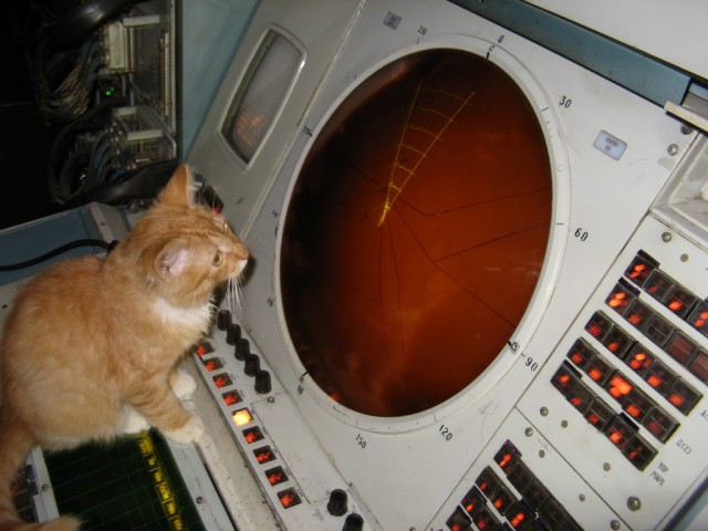 Война с Америкой неизбежна