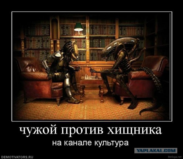 Тащит из будущего