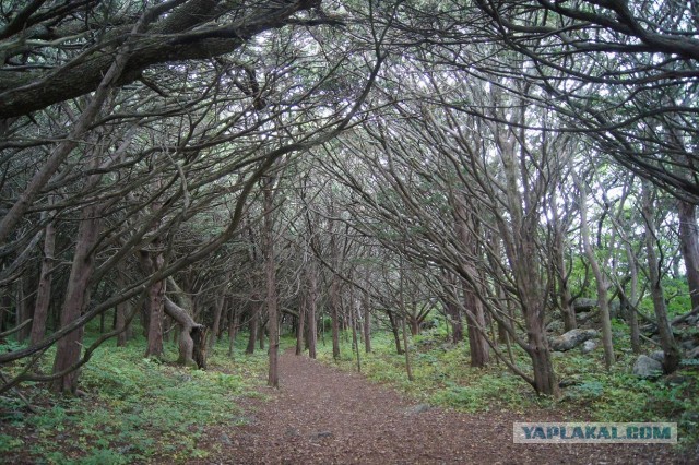 Малоизвестное Приморье.