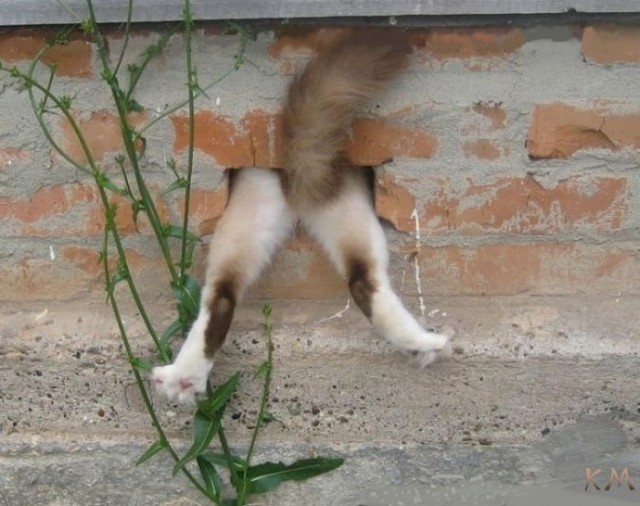 А что если...