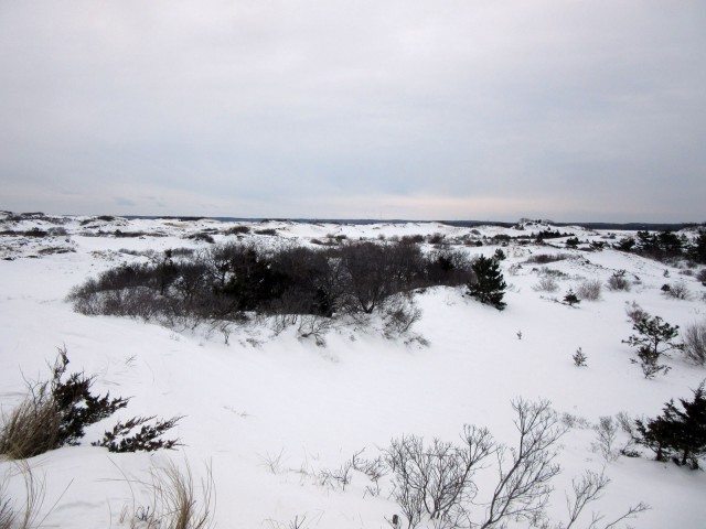 Деревенская Америка