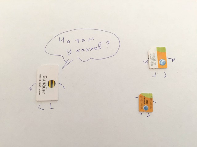 Жизнь SIM