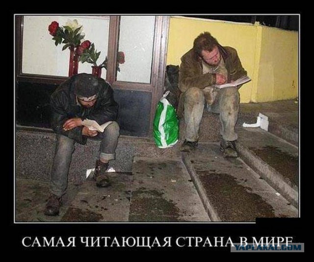 Весёлости в картинках