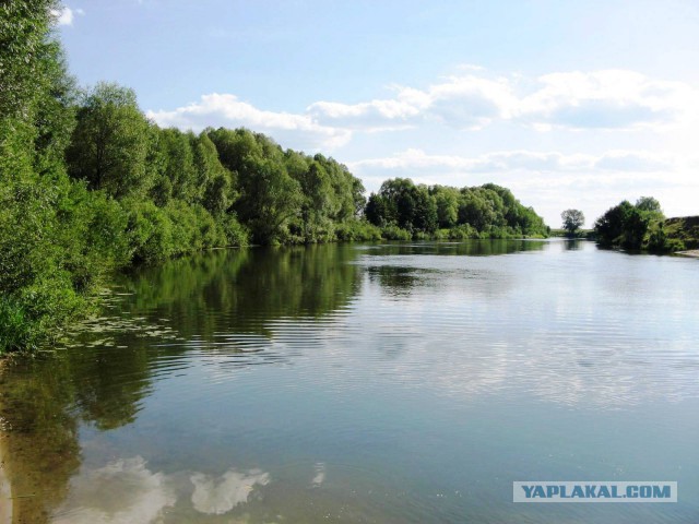 Я узнал, что у меня есть огромная семья