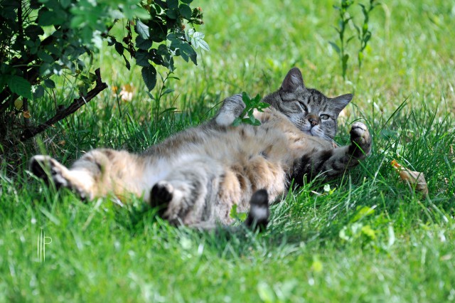 Красивые фото