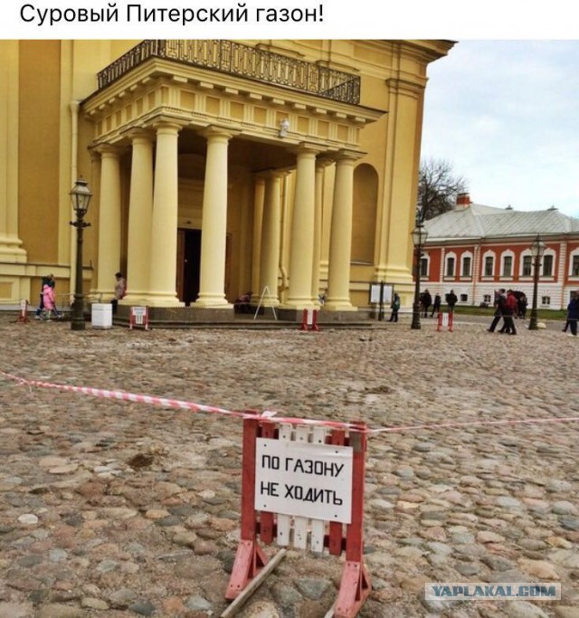Подборка прикольных фото