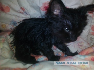 Потерялася я