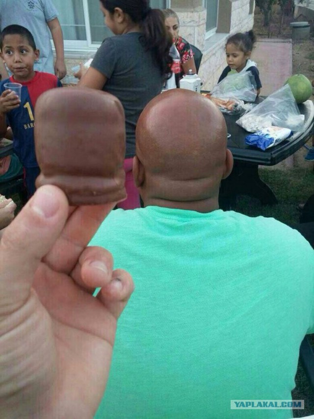 Шоу двойников