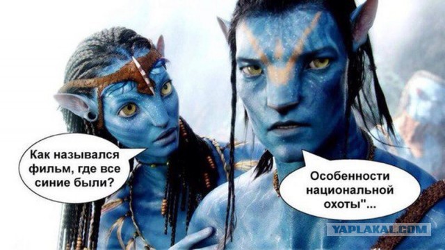 Картинки и гифки, дабы отвлечься
