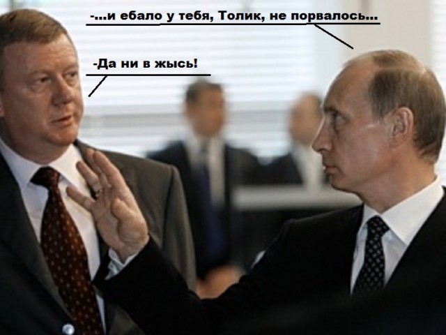Чубайс отчитался Путину о достижениях «Роснано» за девять лет