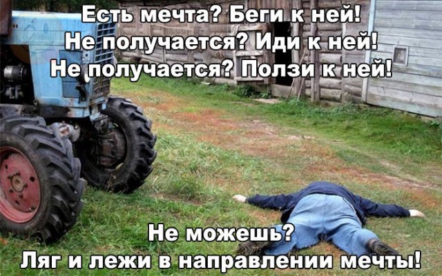 Прикольные и веселые картинки