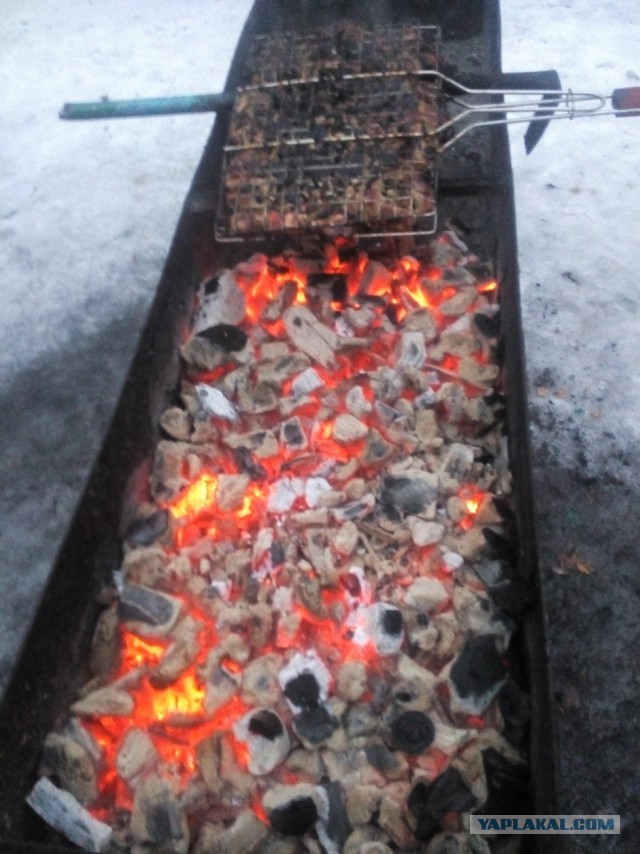 Ждем шашлычный период!