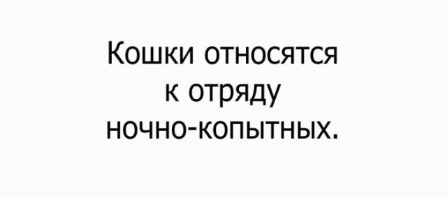 Подборка интересных и веселых картинок