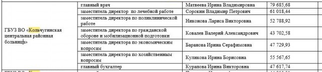 Зарплата медиков г. Кольчугино стремится к нулю