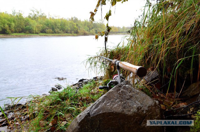 Морское меню Колымского рыбака